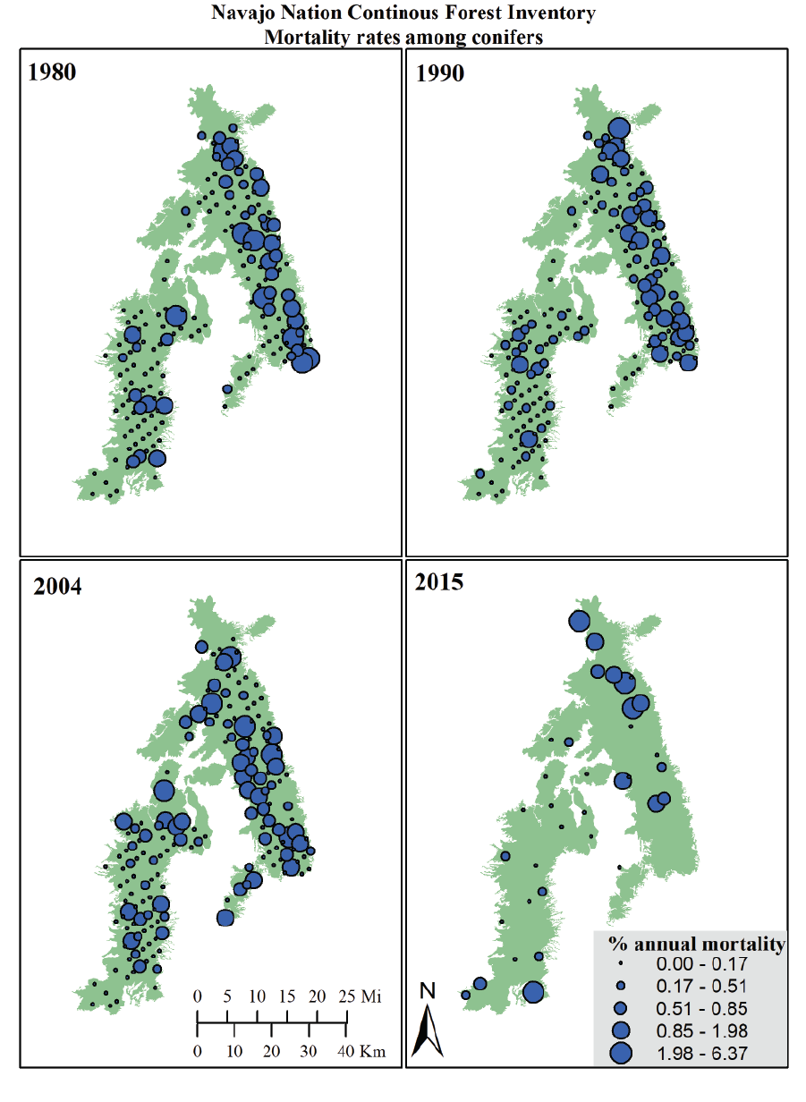 Maps of annual conifer mortality rates at CFI plots for each year of plot re-measurement.